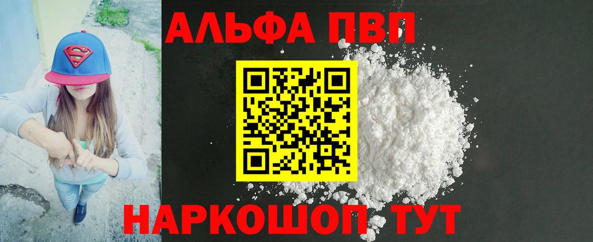 Альфа ПВП СК Кондопога