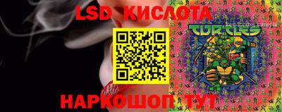 spice Кинель