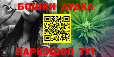 spice Кинель