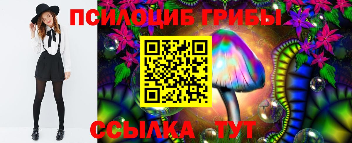 Псилоцибиновые грибы Magic Shrooms Кондопога
